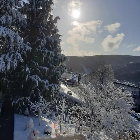 Ferienhaus Haus Herzog Titisee-Neustadt Esterno foto