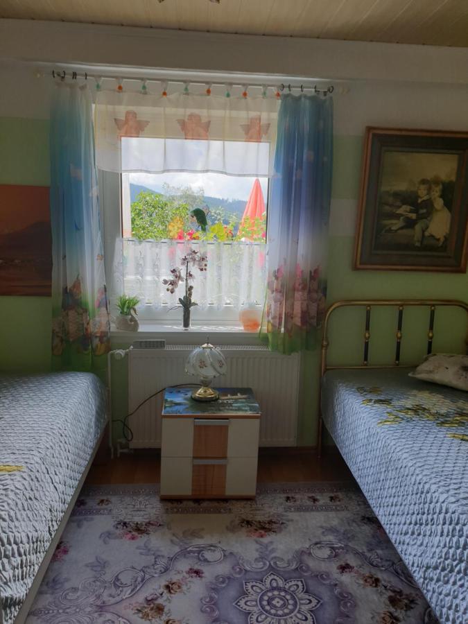 Haus Herzog Apartment Titisee-Neustadt