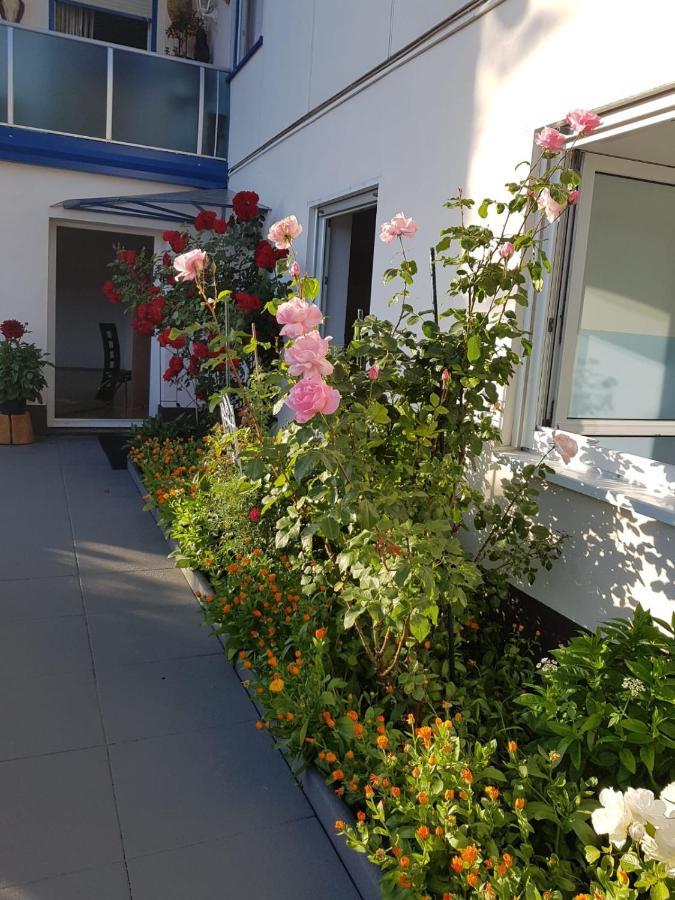 Apartment Haus Herzog *