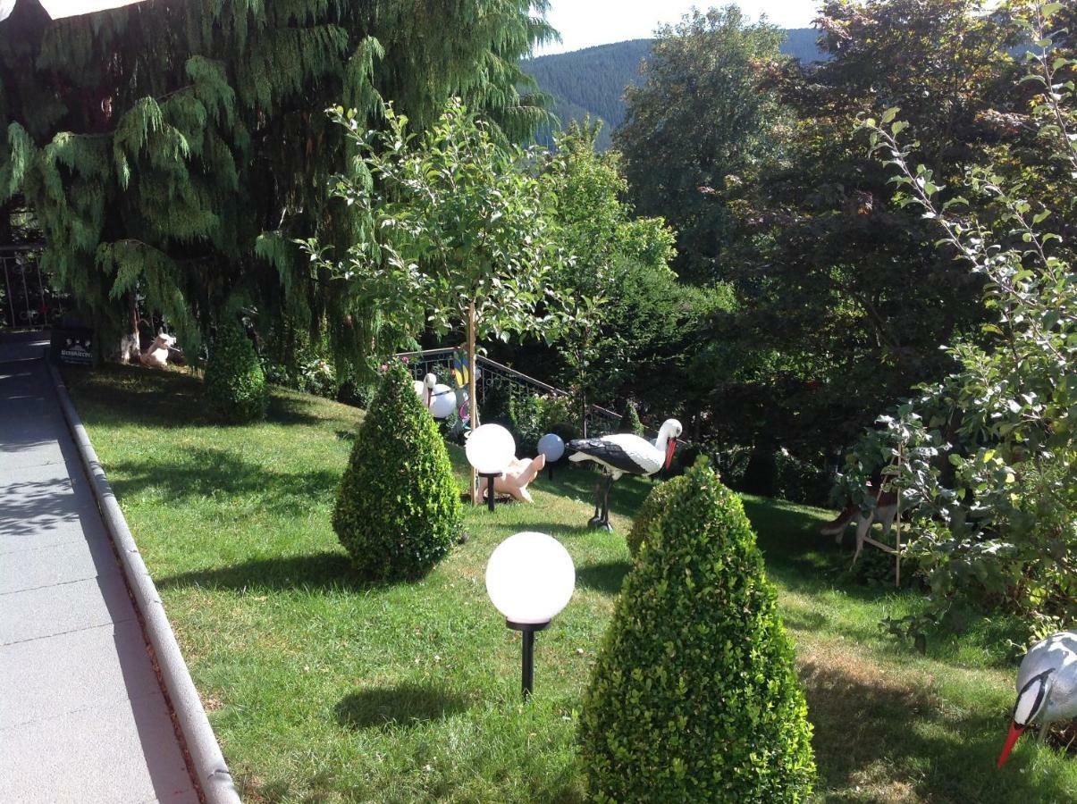 Apartment Haus Herzog Titisee-Neustadt